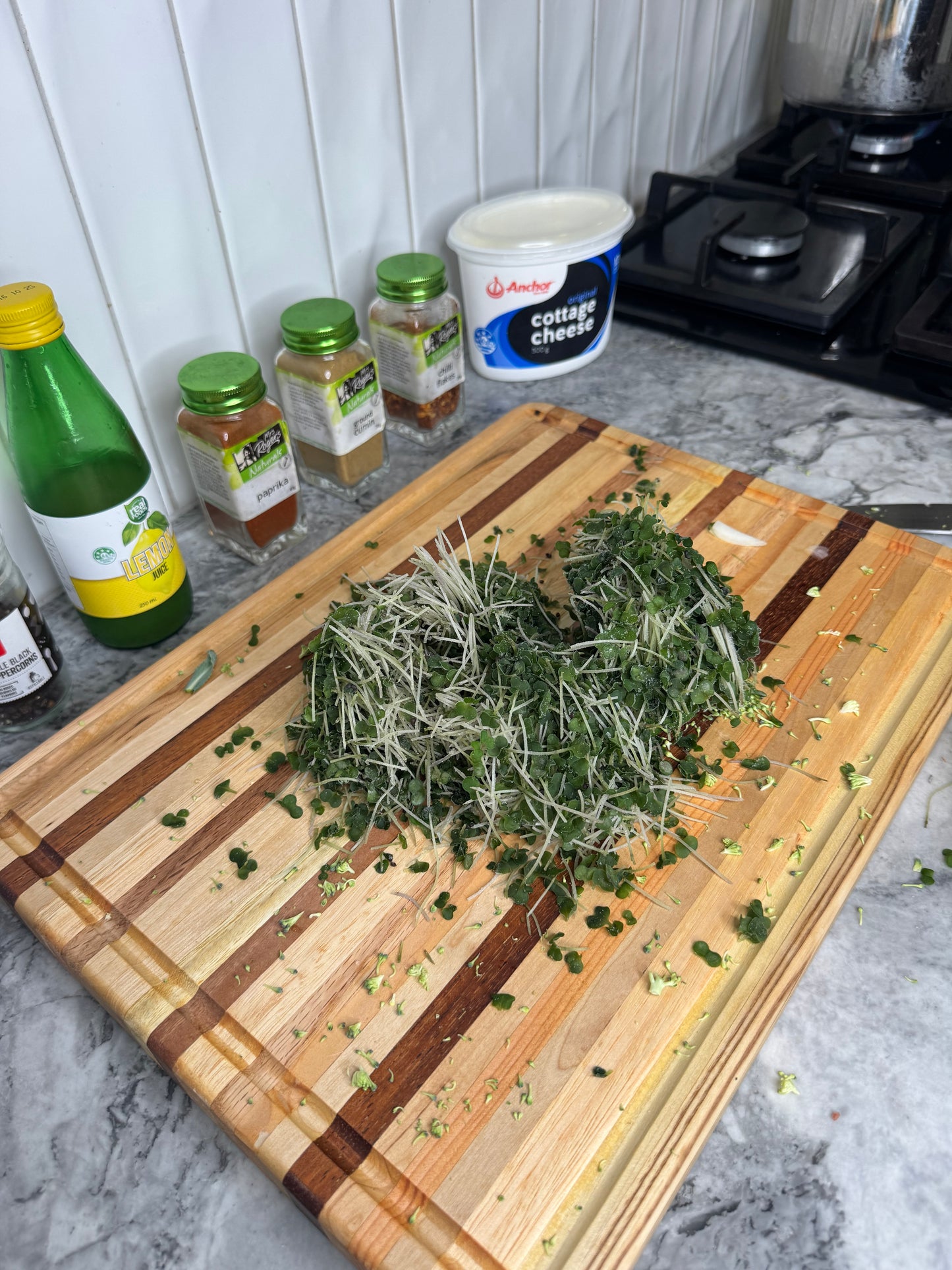 Fresh Broccoli Microgreens (Pickup – Rosedale)